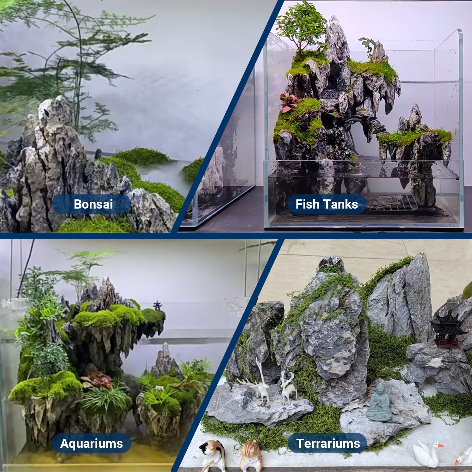ChaoLeHo Seiryu: pierres d'aquarium décor-terrrarium polyvalentes