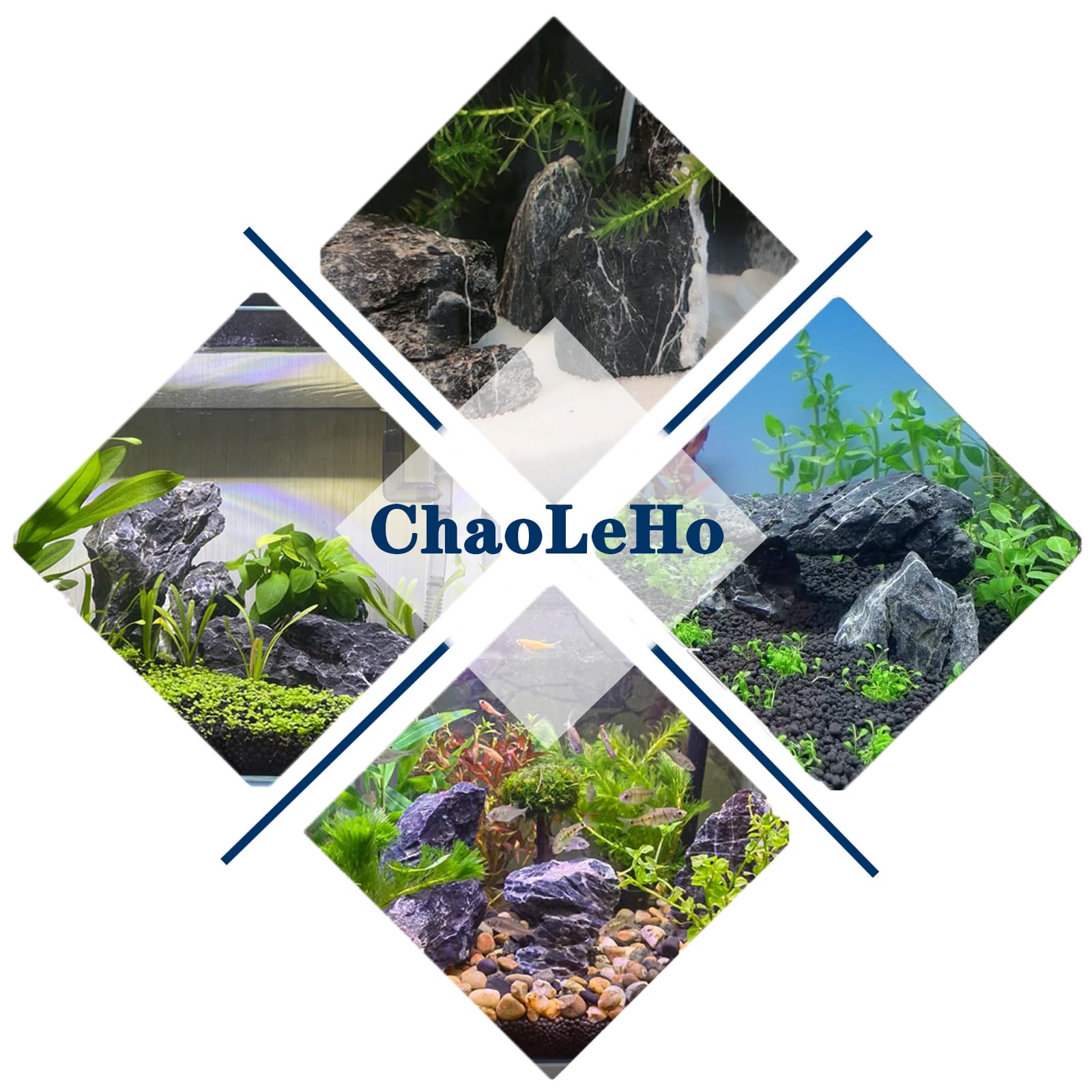 ChaoLeHo Seiryu: pierres d'aquarium économie d'écosystème minimal