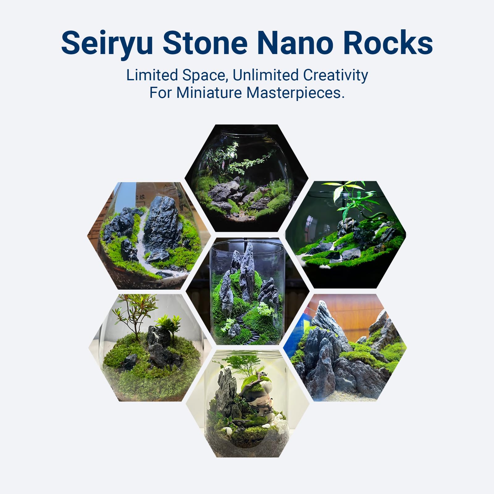 ChaoLeHo Seiryu: roches d'aquarium entretien facile pour simplifier le nettoyage