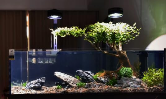 ChaoLeHo Seiryu: roches naturelles détaillées pour ornements d'aquarium