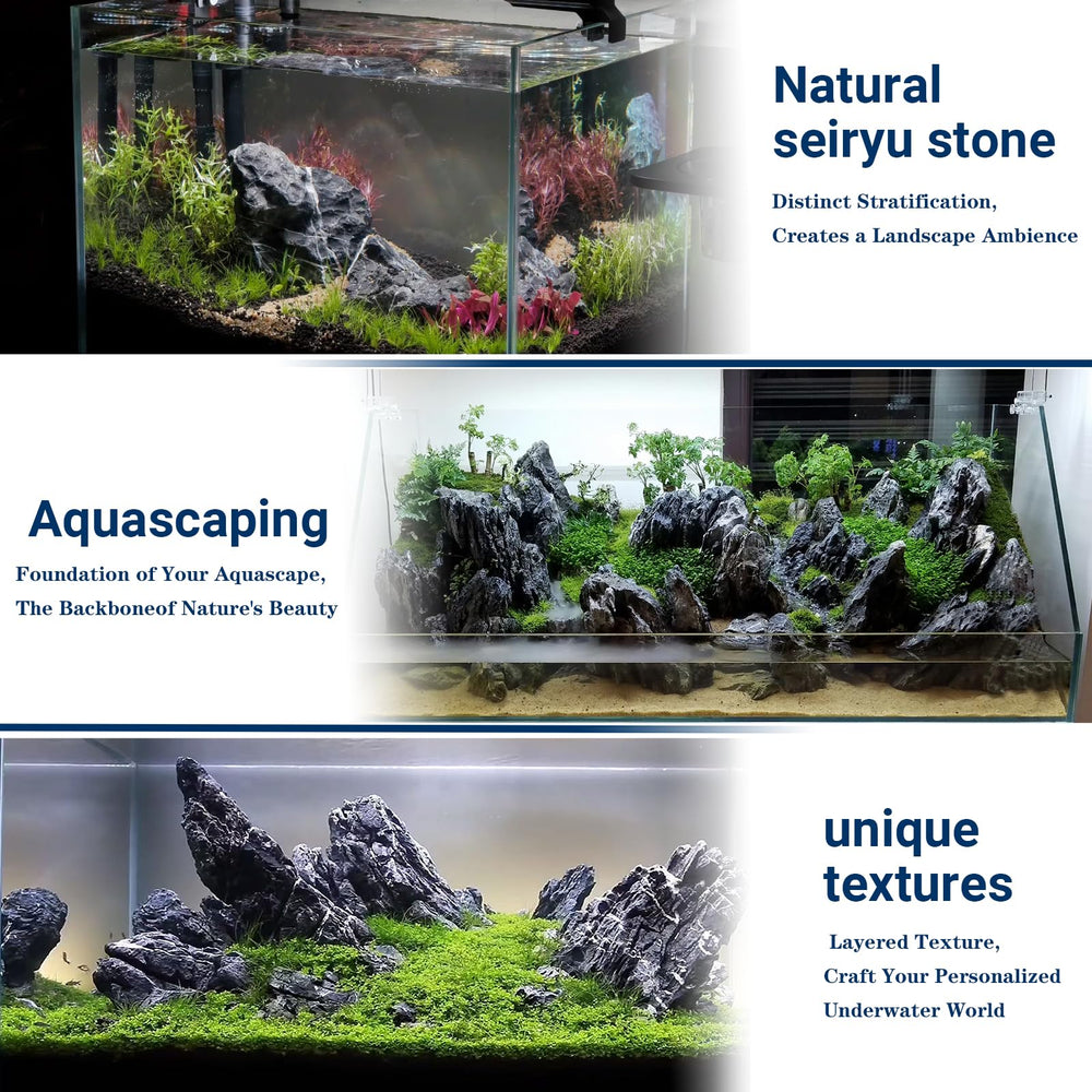 ChaoLeHo Seiryu: roches d'aquarium durables offrant stabilité de l'eau