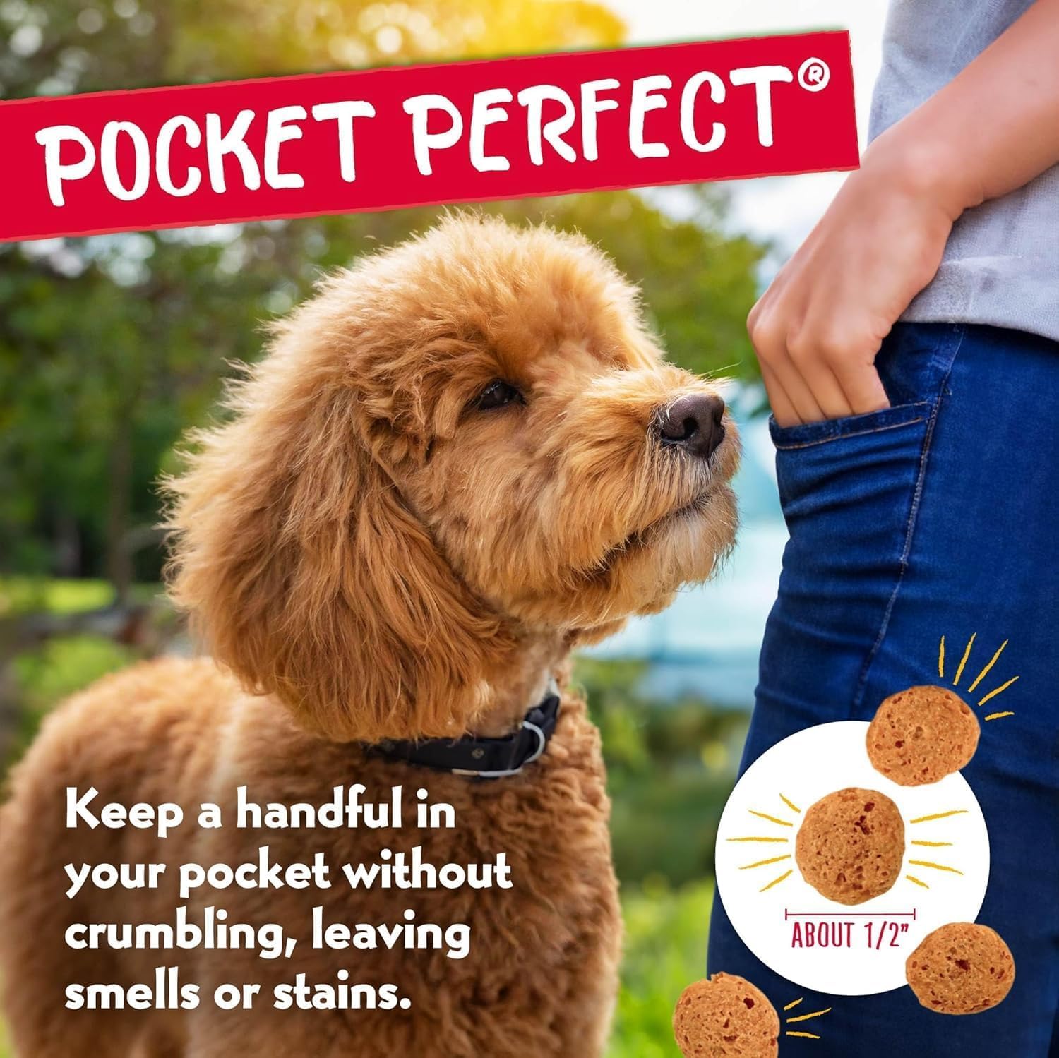 Mini biscuits Charlee Bear pour petits chiens, faciles à mâcher et plaisants pour l'entraînement.