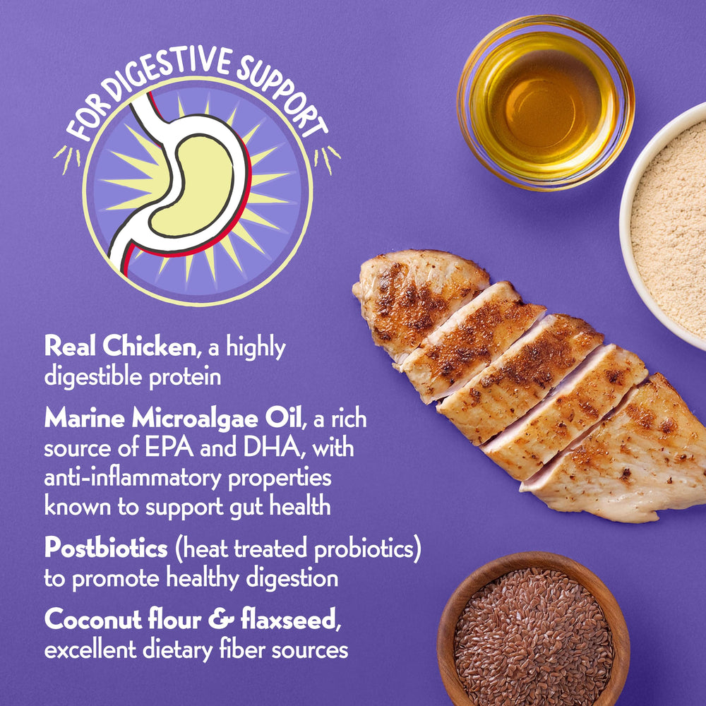 Charlee Bear Necessities topper saupoudrés sur croquettes, repas variés et appétissants.