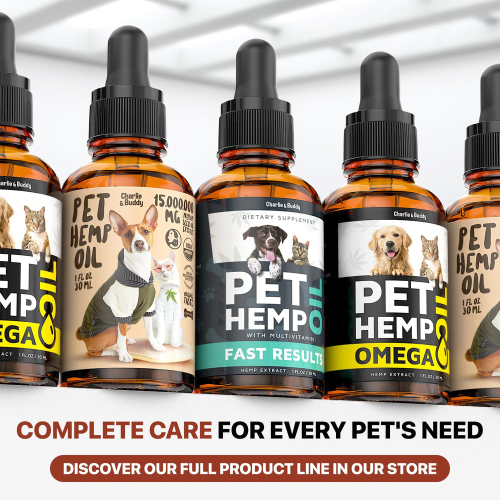 CHARLIE & BUDDY dosage quotidien pratique dans nourriture ou friandises.