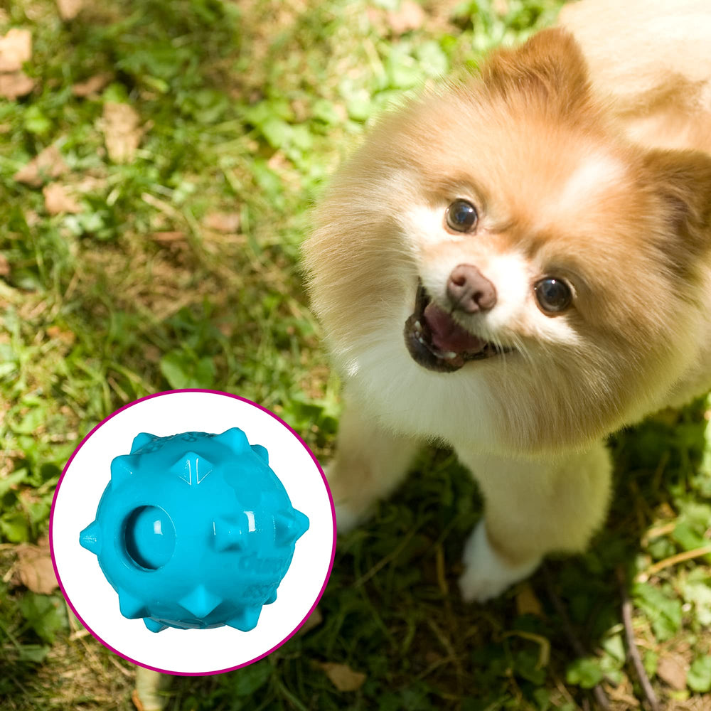 Chase 'n Chomp balle siffleuse Knobble bleue, jeu actif.