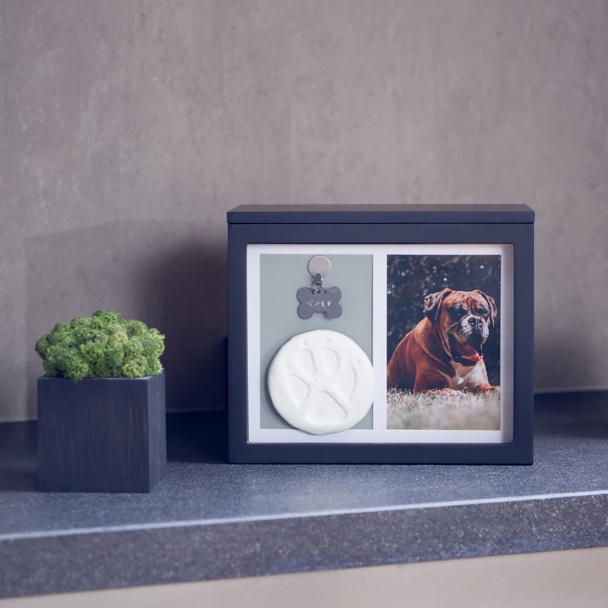Ensemble hommage complet Chasing Tails : cadre, livre et accessoires.
