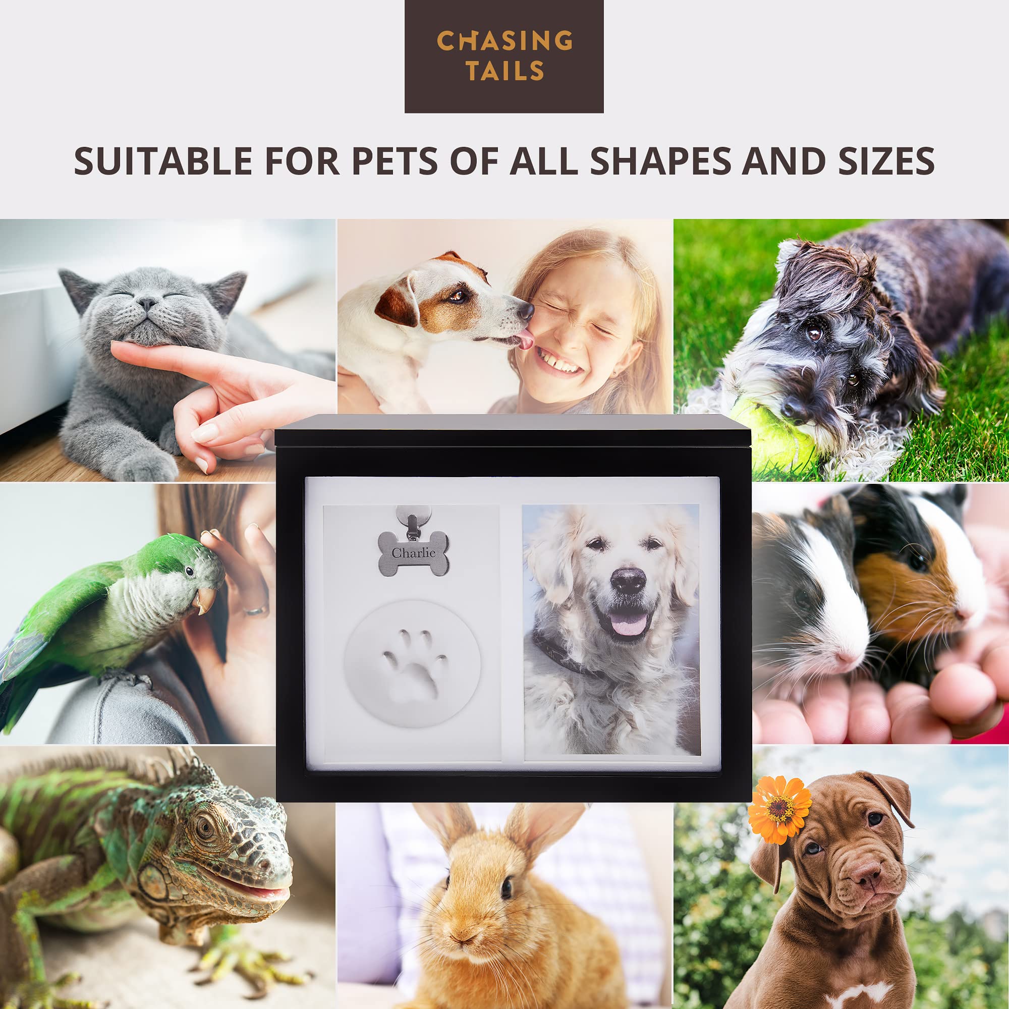 Fermeture magnétique sécurisée de l’urne Chasing Tails pour accessibilité facile.