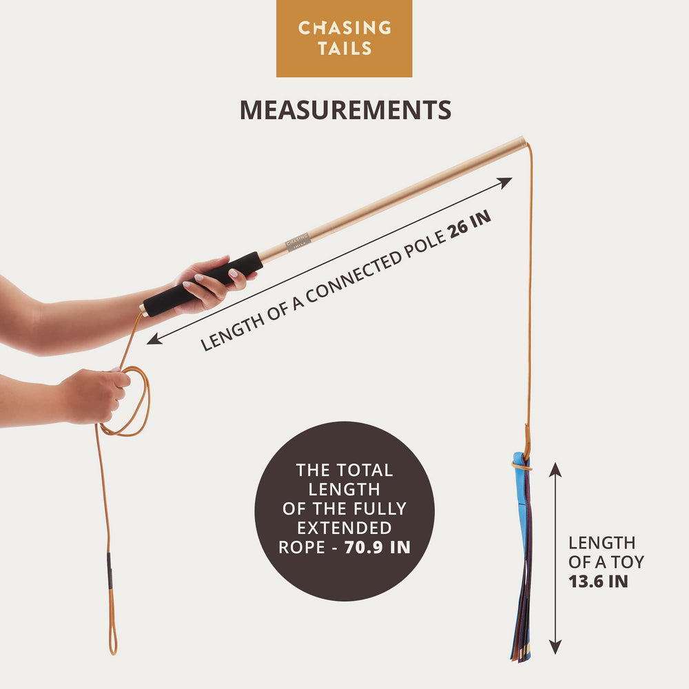 Chasing Tails Flirt Pole 2 jouets inclus: choix entre couinement et jouet silencieux