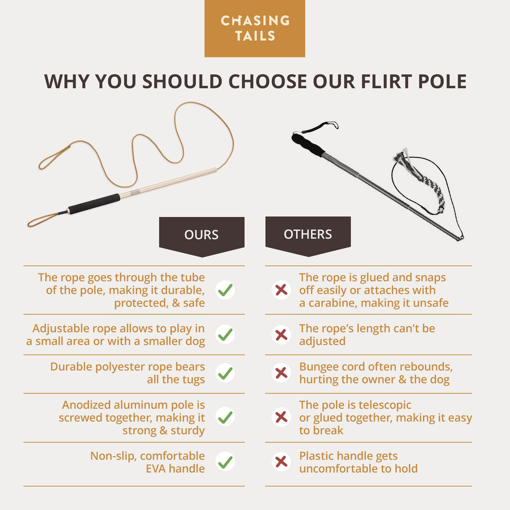 Chasing Tails Flirt Pole prêt pour sorties et balades actives.