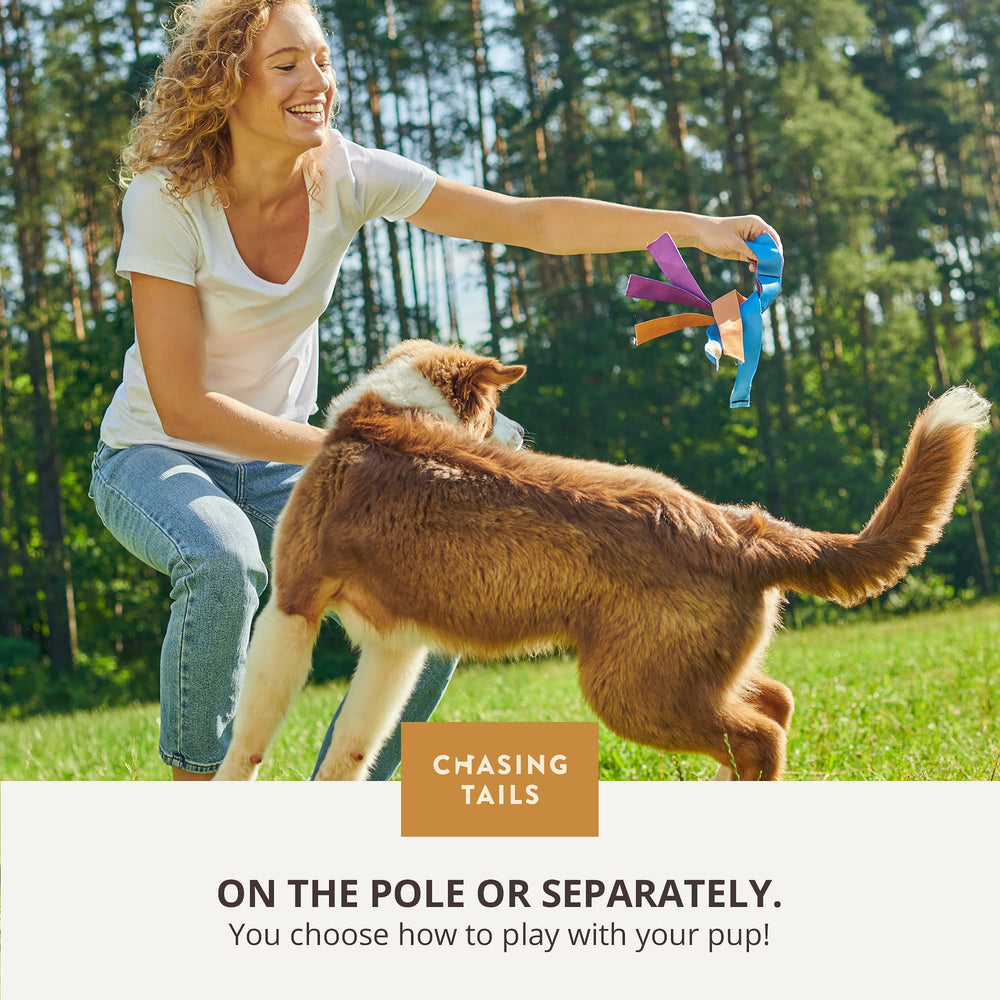 Chasing Tails Flirt Pole guide d’utilisation pour sécurité et entraînement.