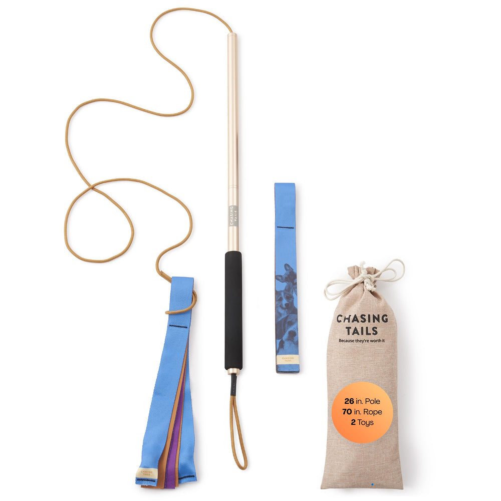 Pôle de flirt Chasing Tails pour petit chien: stimulation ludique et sécurité lors des jeux