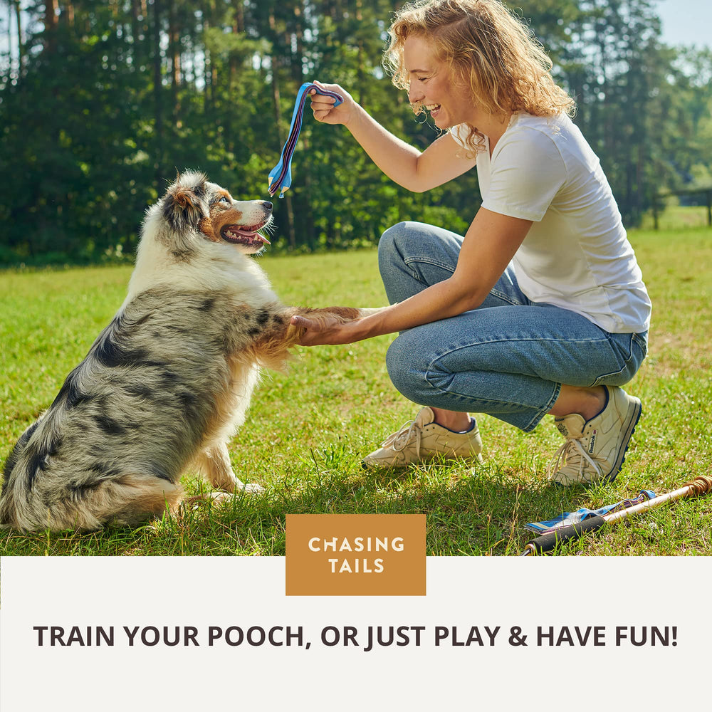 Chasing Tails Flirt Pole spécialement adapté aux chiens de grande taille.