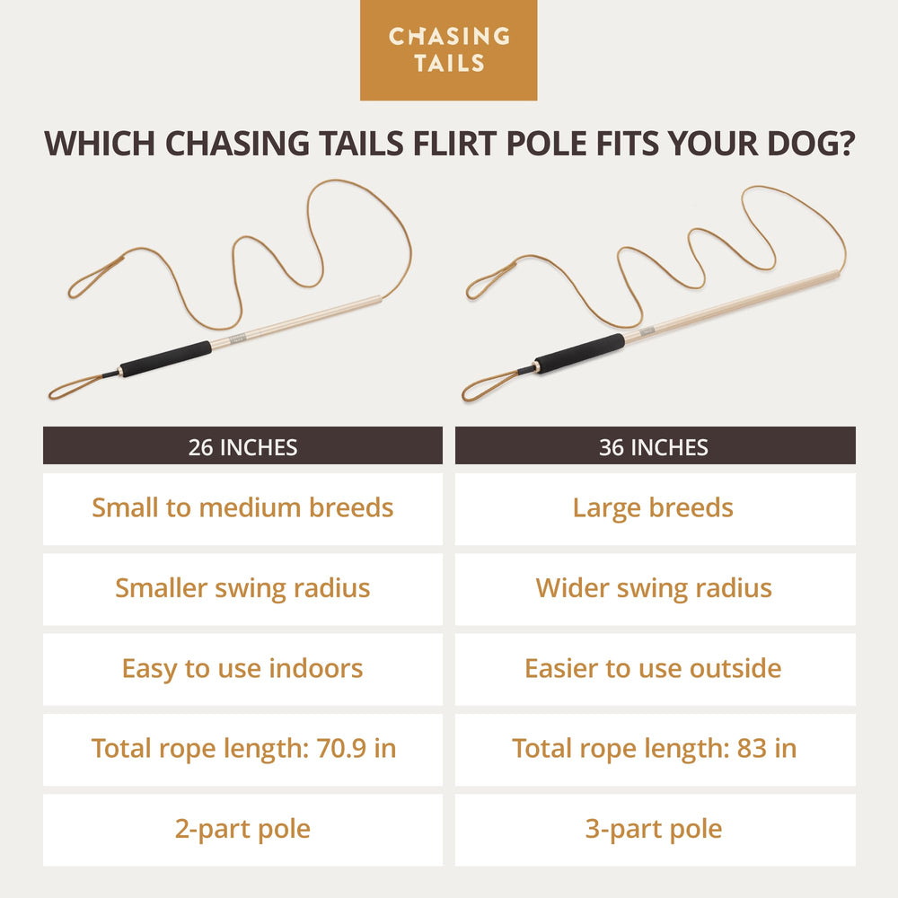 Chasing Tails Flirt Pole usage plein air: divertissement interactif pour chiens actifs