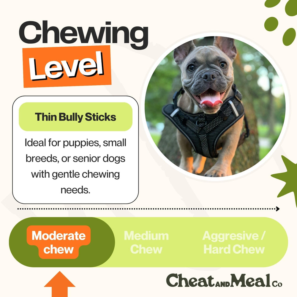 Bâton de 6 pouces Cheat and Meal Co adapté pour chiens seniors légers.