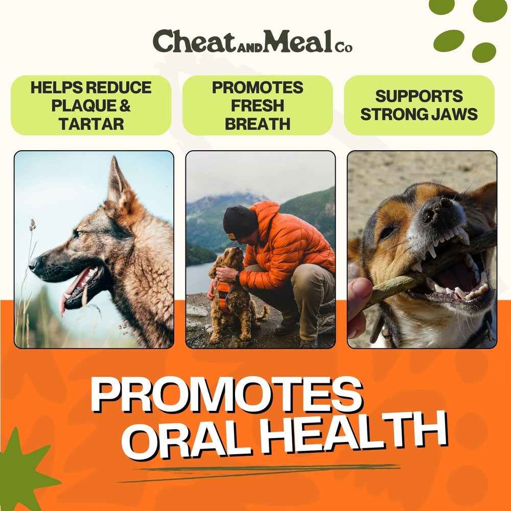 Cheat and Meal Co: sans additifs pour une mastication sûre.