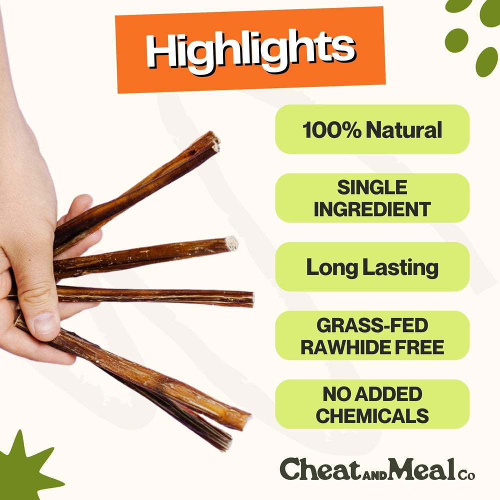 Bâton Cheat and Meal Co seul, parfait pour mâchonner en toute simplicité.