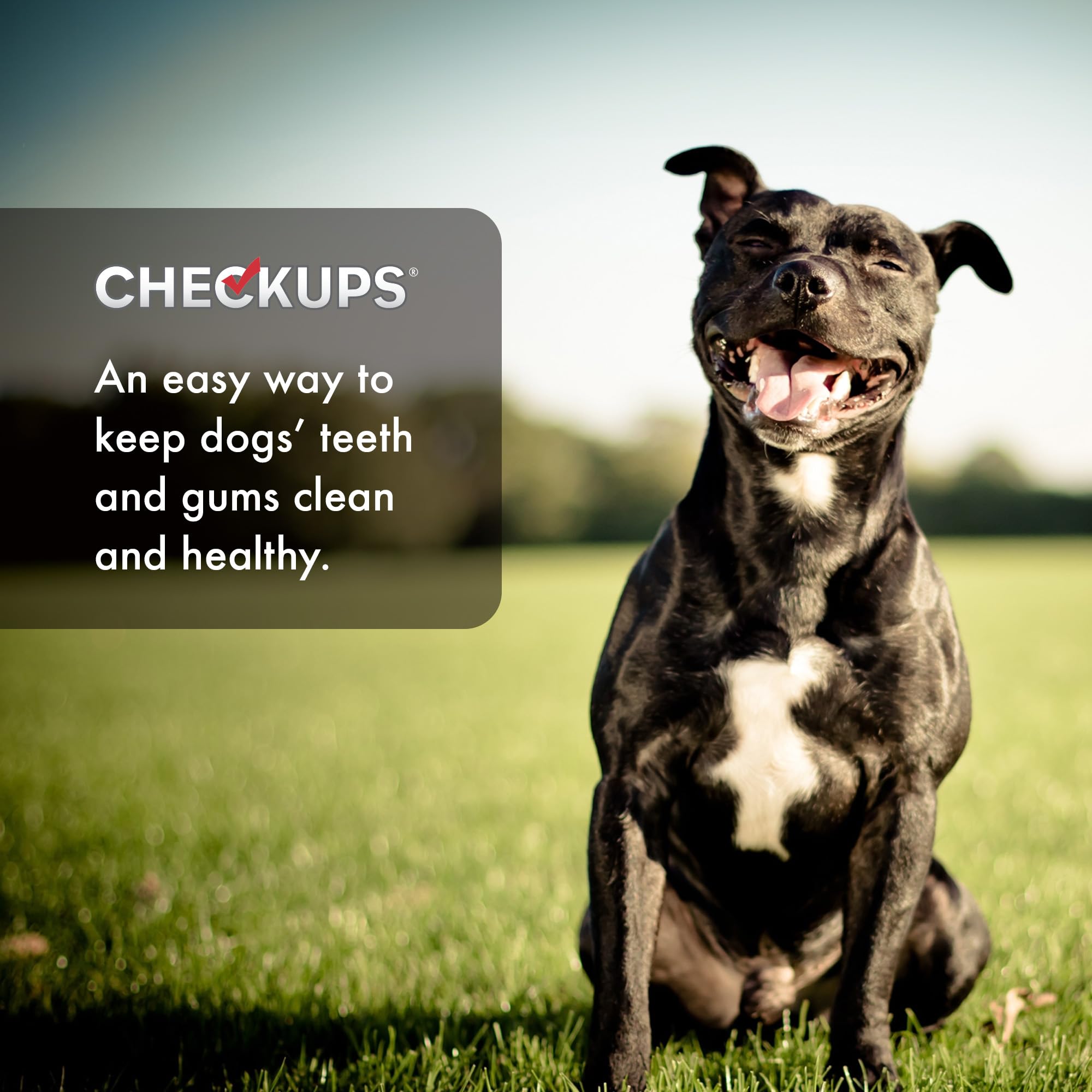 Checkups fermeture refermable: rangement pratique et fraîcheur durable.
