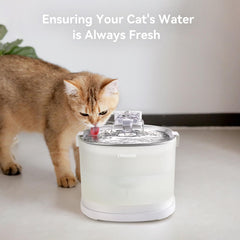 Flux d eau continu 24/7 avec fontaine Cheerble pour animaux
