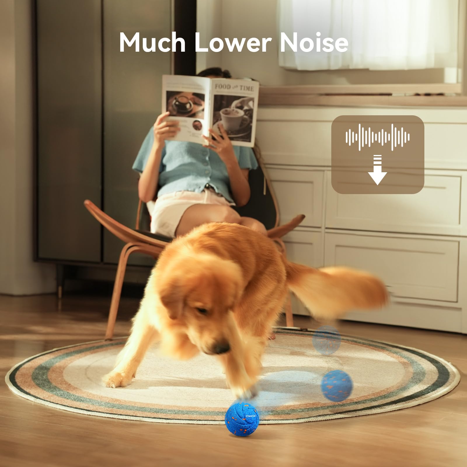 Utilisation idéale pour chiens moyens à grands, sous supervision.