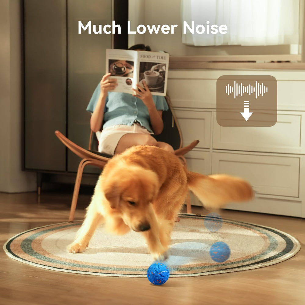 Utilisation idéale pour chiens moyens à grands, sous supervision.