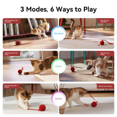 Mode interactif triple du Wicked Ball Duo2 s’adaptant à l’humeur du chat.