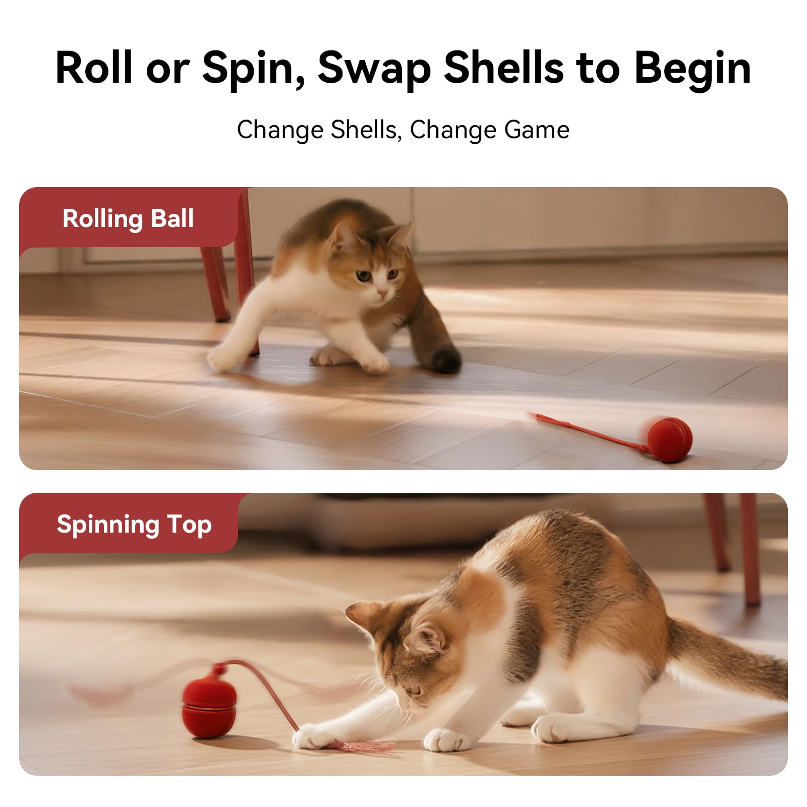 Utilisation pratique du Wicked Ball Duo2 dans l’habitat intérieur, sur différents sols.