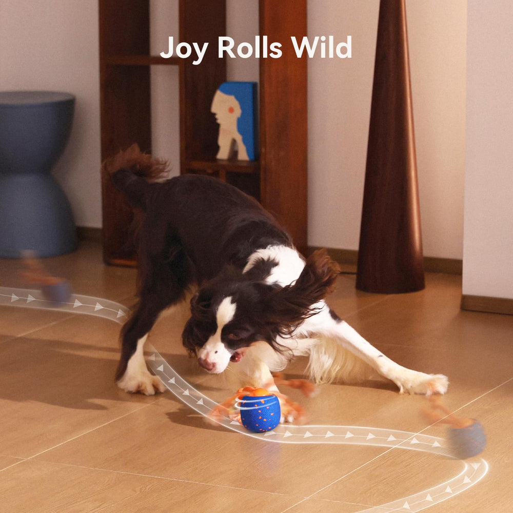 Cheerble Wicked Ball Rolly — Recharge Type-C rapide et autonomie adaptée au mode.