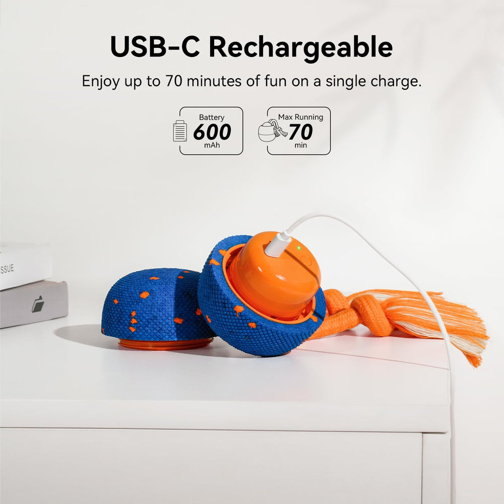 Cheerble Wicked Ball Rolly — Corde robuste pour des sessions de jeu prolongées.