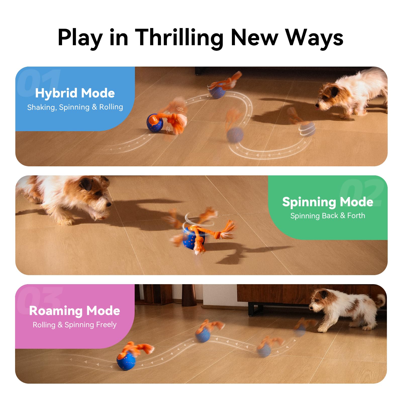 Cheerble Wicked Ball Rolly — Mode hybride en action, stimulation mentale et physique.