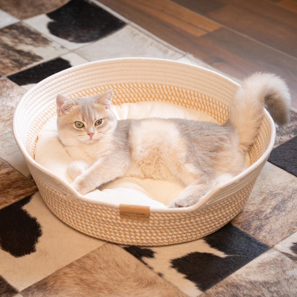 CHEERHOME PETS dimensions idéales pour chats et petits chiens