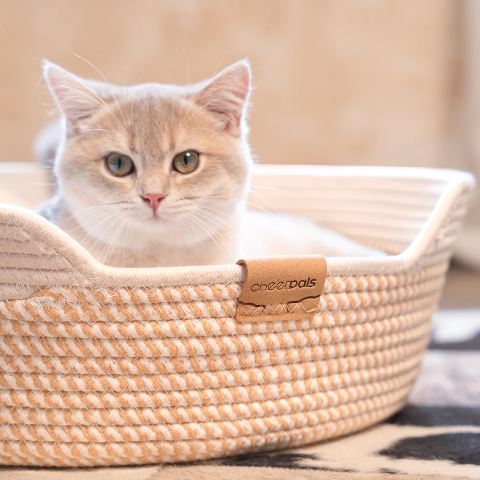 CHEERHOME PETS cadre confortable pour chat sur canapé