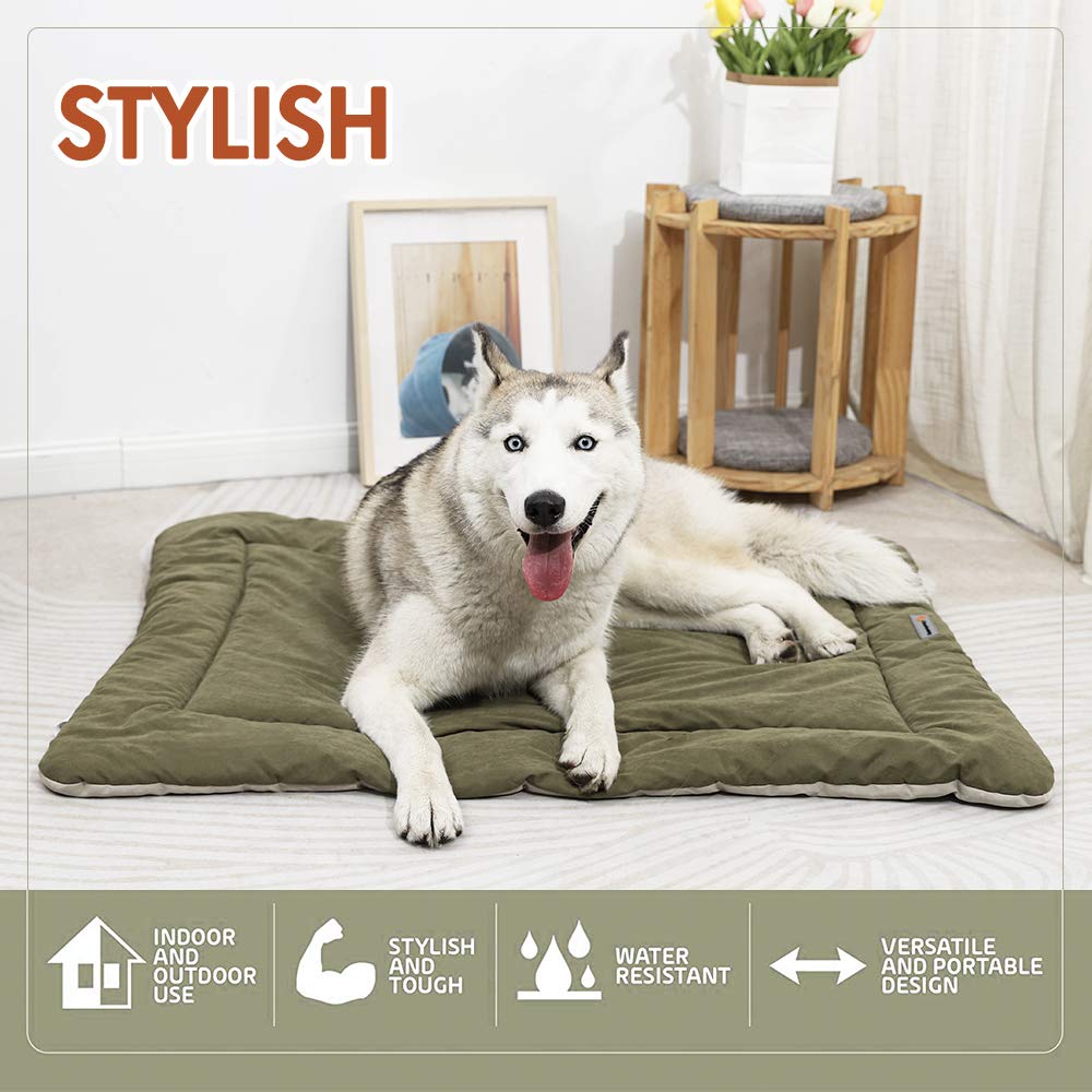 Tapis de voyage CHEERHUNTING pour chien, léger et portable.