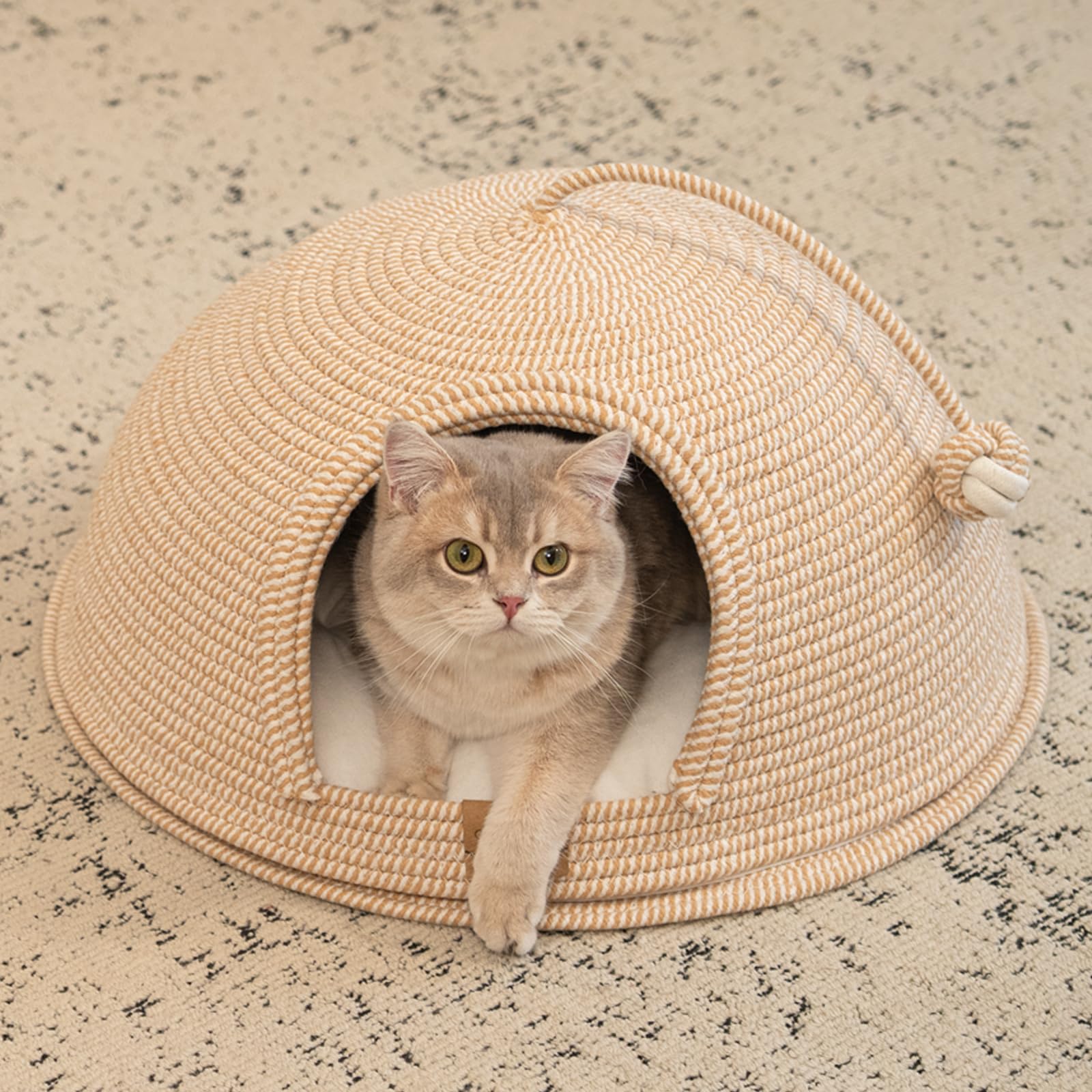 CHEERPALS Confort pour chaton et chat de grande taille.