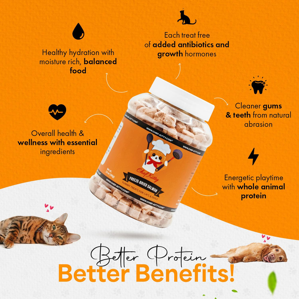 Emballage pratique Chef Kitty – sachet 7 oz de saumon lyophilise.