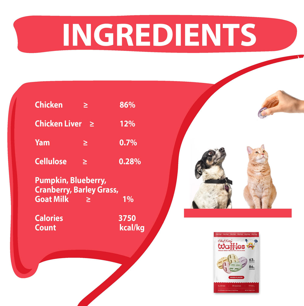 Chef Kitty gaufre entraînement chat – récompense légère et facile à casser