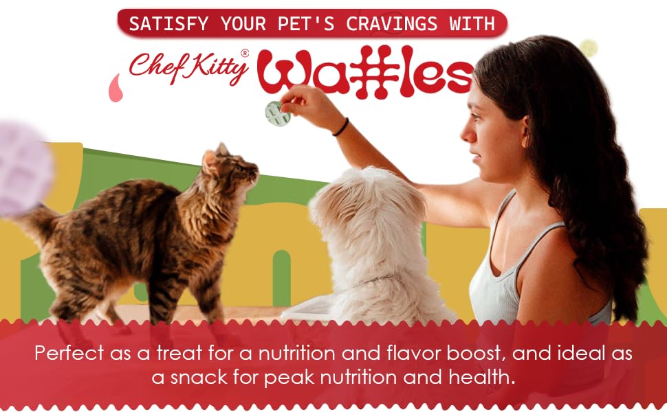 Chef Kitty gaufre portion pratique – encas rapide pour animaux domestiques