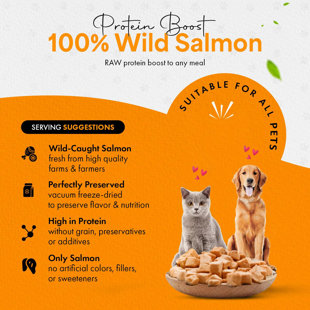 Ingrédient unique Chef Kitty: saumon lyophilise.