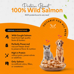 Chef Kitty saumon sauvage 100 pourcent: source naturelle de protéines pour chiens et chats.