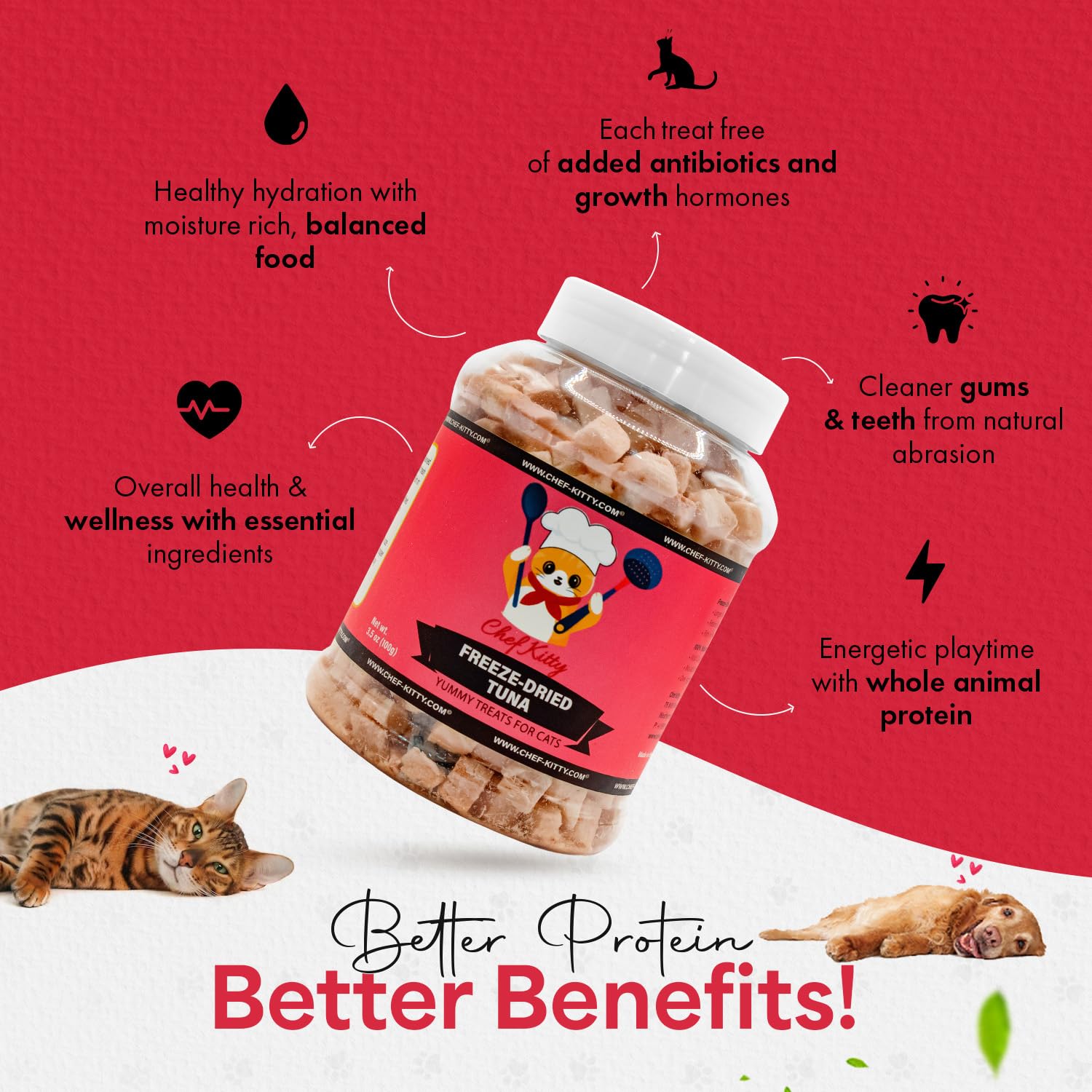 Topper croquettes chat Chef Kitty, thon unique pour rehausser le repas