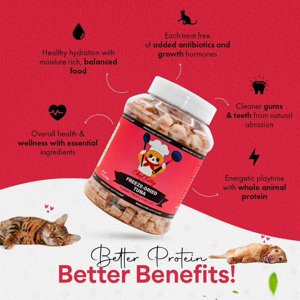 Topper croquettes chat Chef Kitty, thon unique pour rehausser le repas