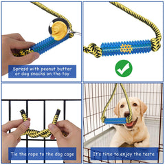 Jouet ChengFu bleu pour dentition et mordillement du chiot