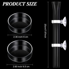 CHENGU bol d'alimentation en verre pour crevettes, 6 cm, accès facile.