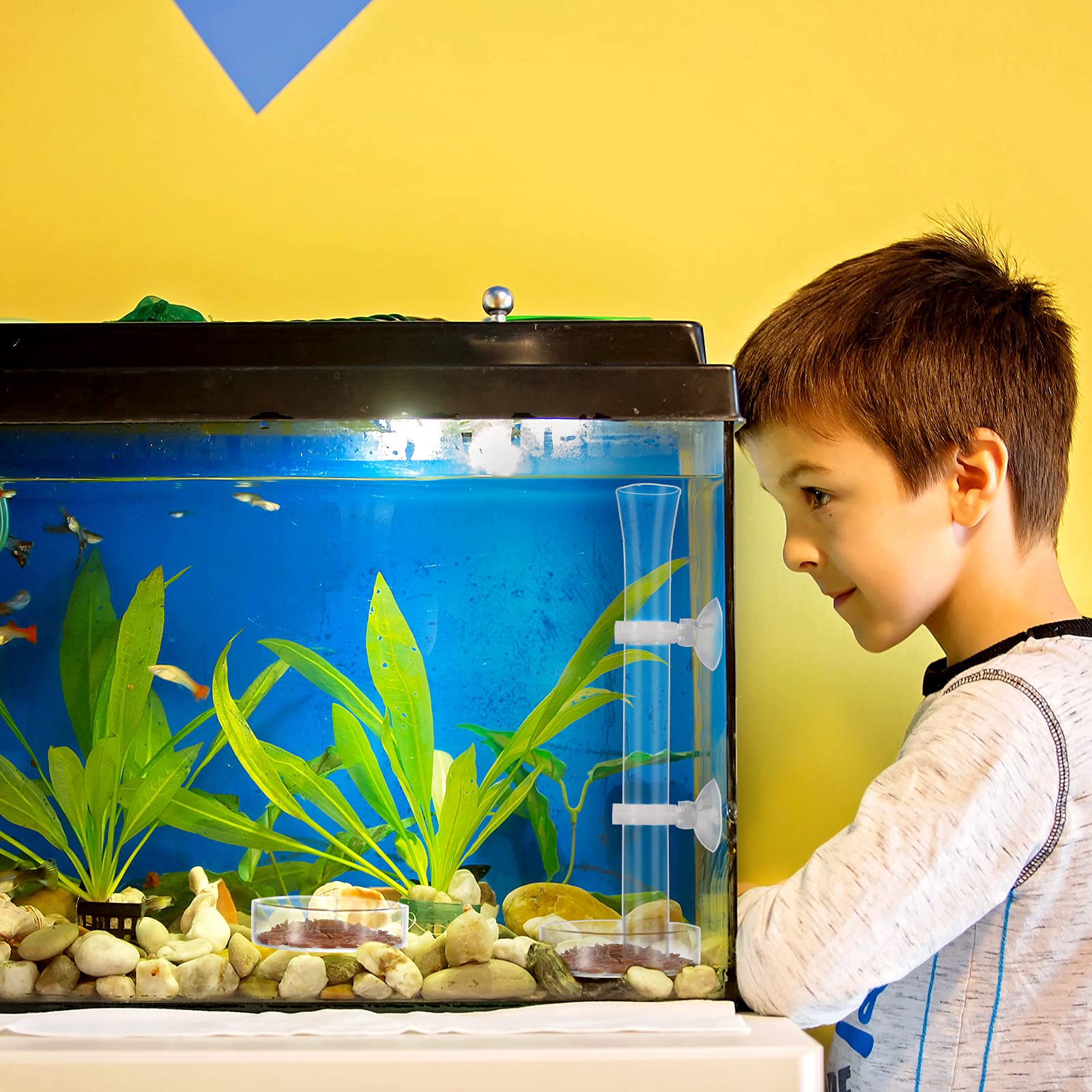 CHENGU système polyvalent en verre pour poissons et crevettes.