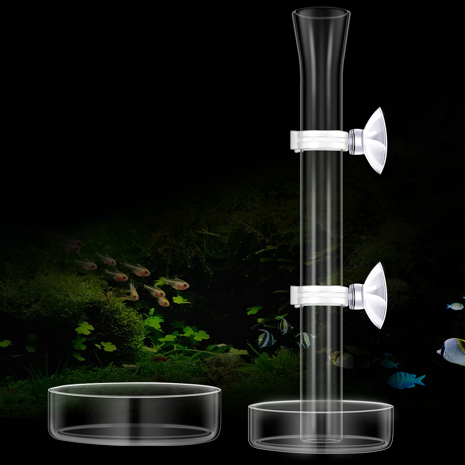 CHENGU tube d'alimentation pour crevettes en verre, 20 cm, dosage précis.