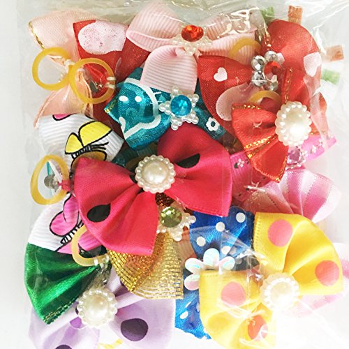 Chenkou Craft bande élastique pour Yorkshire, maintien fiable en toute circonstance.