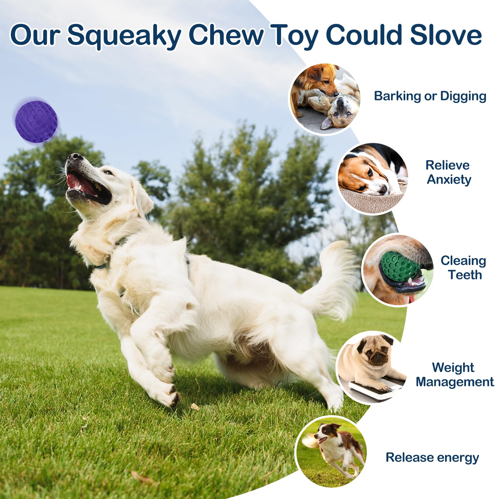 CHEODIN balle cadeau pour chiens durables et amusants.