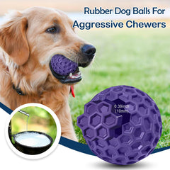 CHEODIN balle pour fetch et entraînement, stimule l obéissance.
