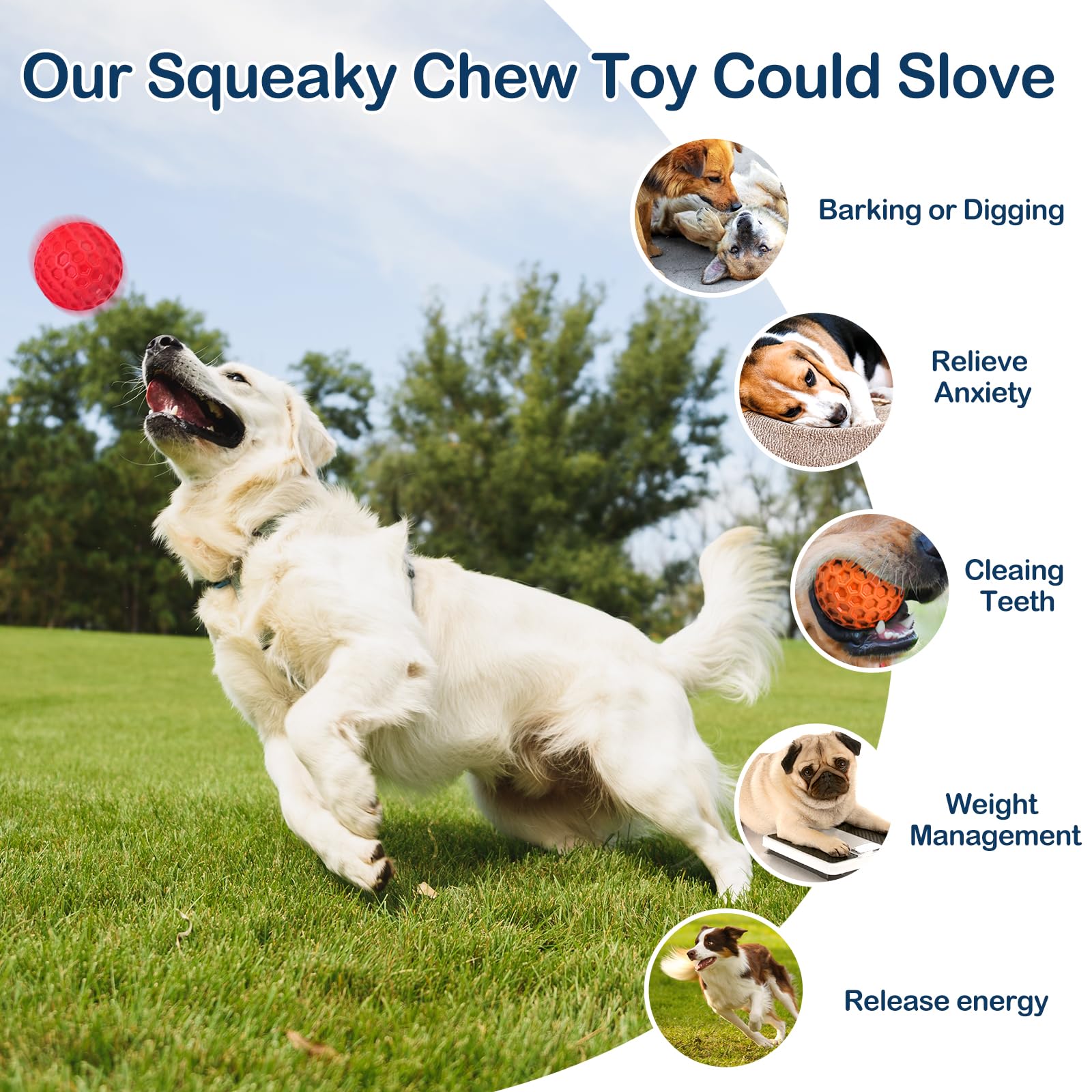 CHEODIN cadeau durable pour chien actif, idéal pour anniversaires