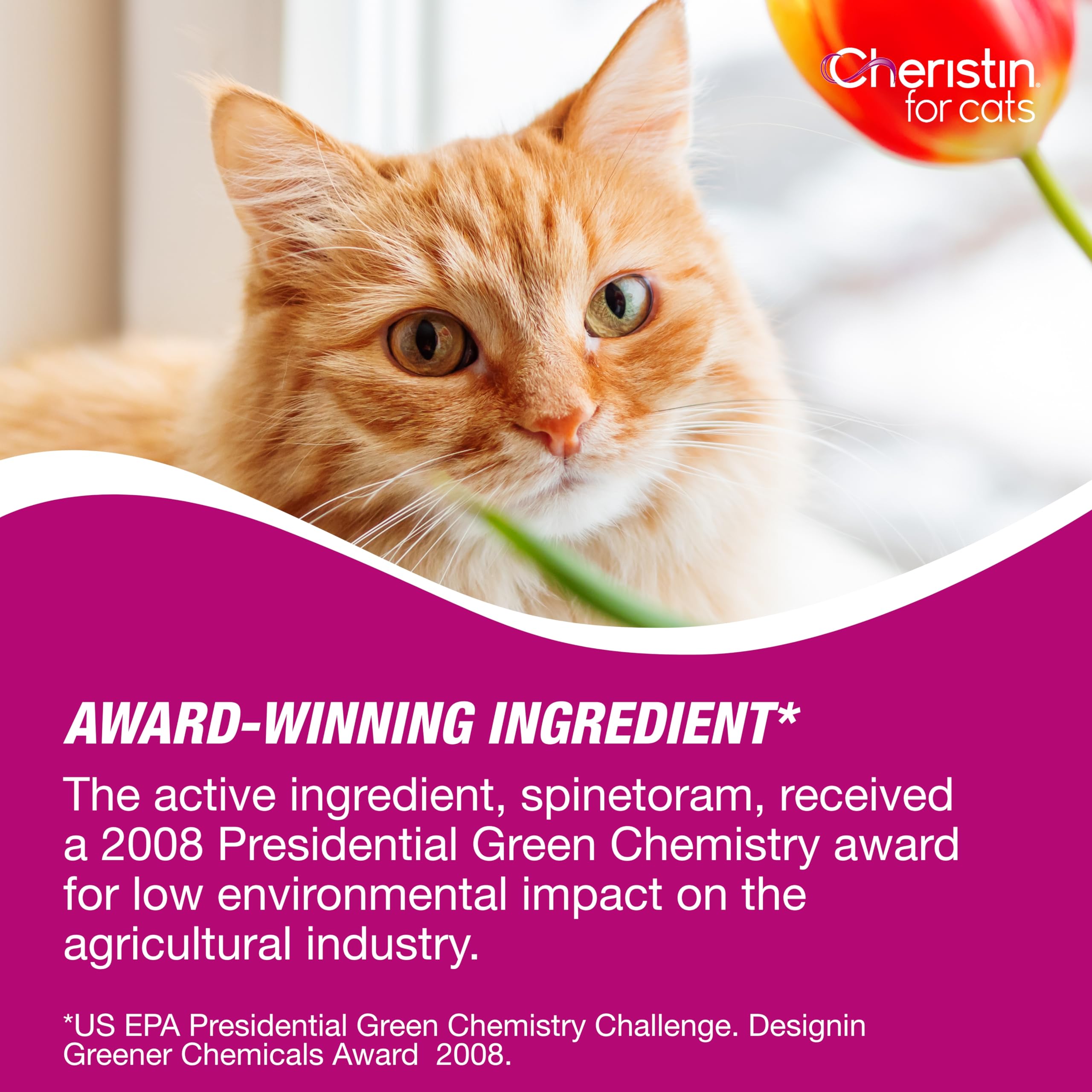 Cheristin: applicateur arrondi pour une application précise.