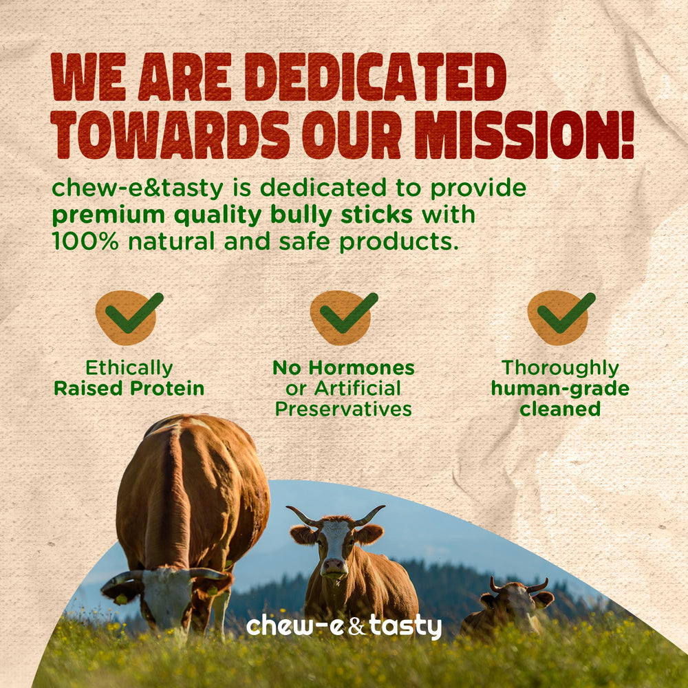 Chew-e&tasty bâtonnets bully sans éclats, sécurité lors de la mastication.